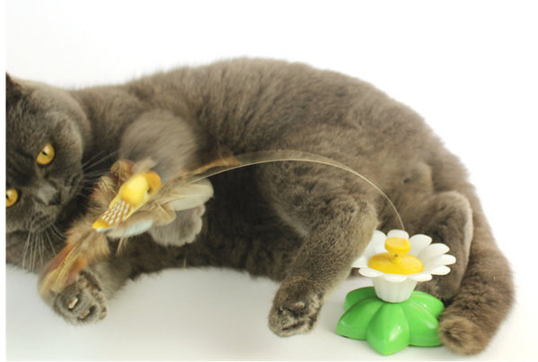 Interactive Bird Toy For Cats