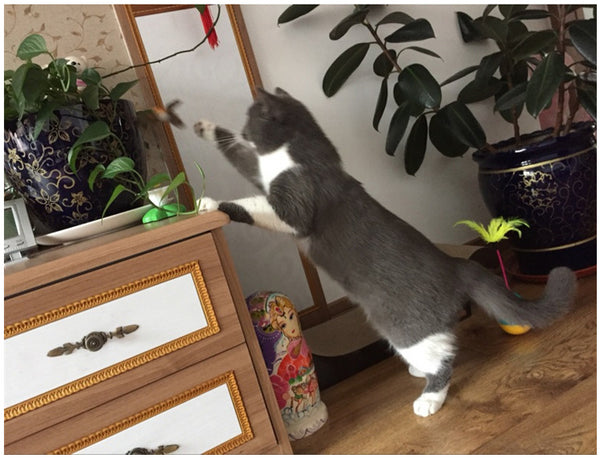 Interactive Bird Toy For Cats