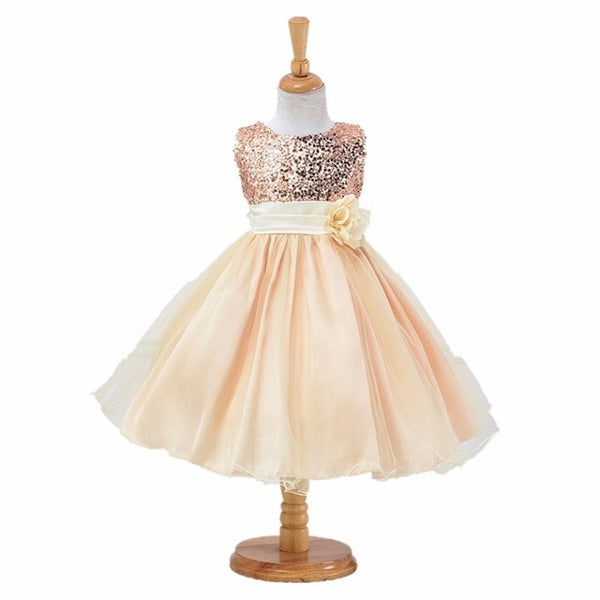 Baby Girl Party Dress